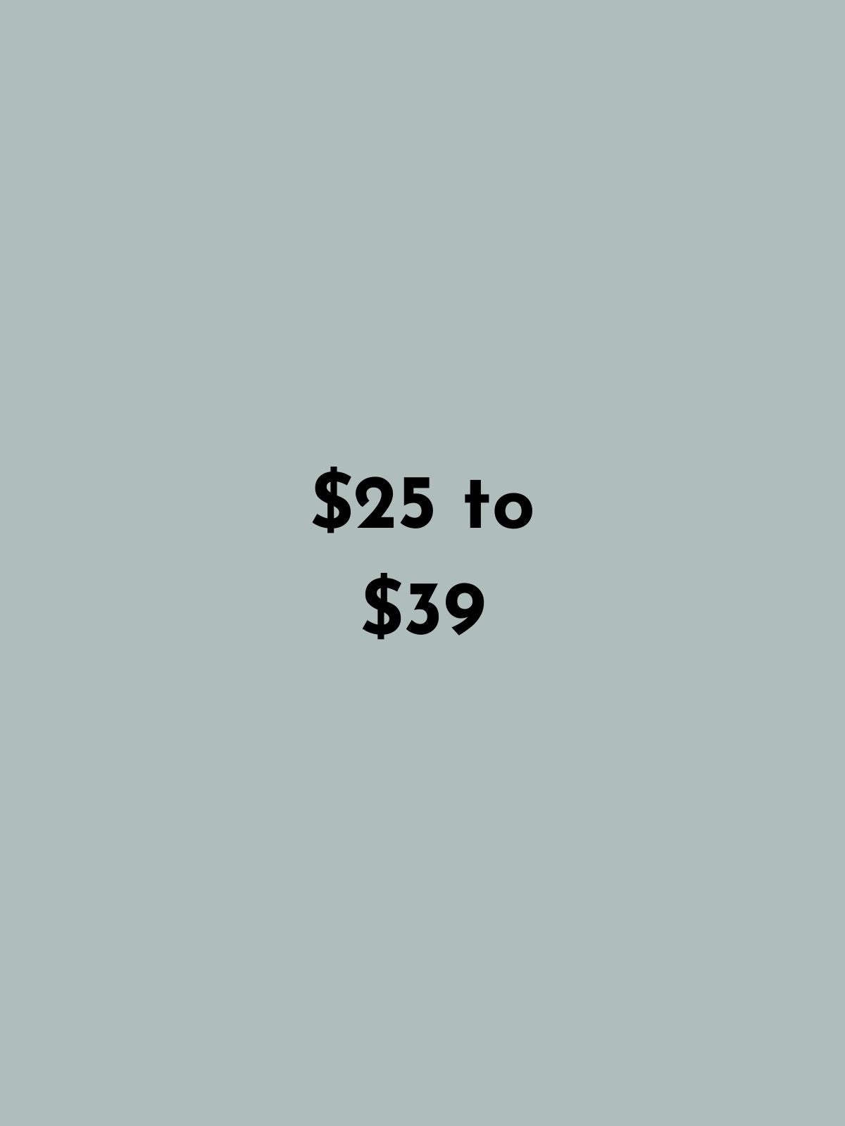Text indicating price range $25 to $39 on a light gray/blue background