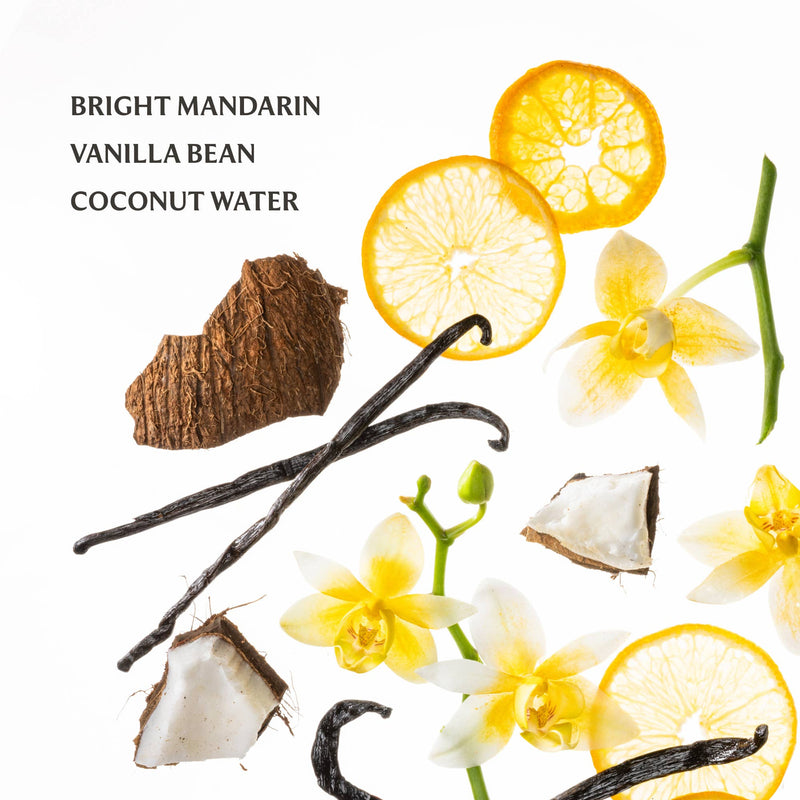 Ingredients  vanilla bean coconut water drink on a white background