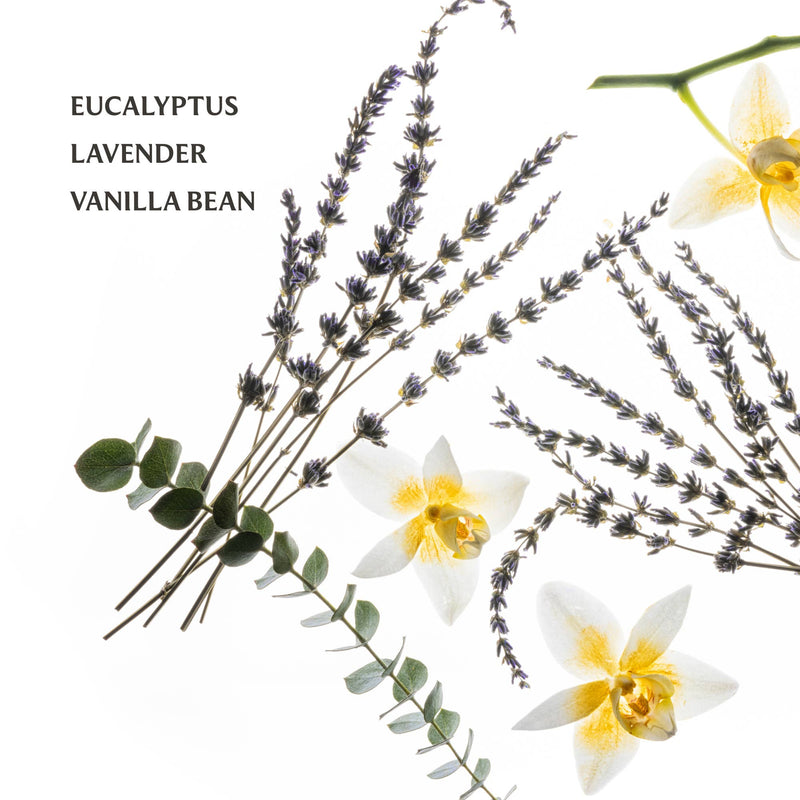 Eucalyptus, lavender, and vanilla bean with flowers on a white background