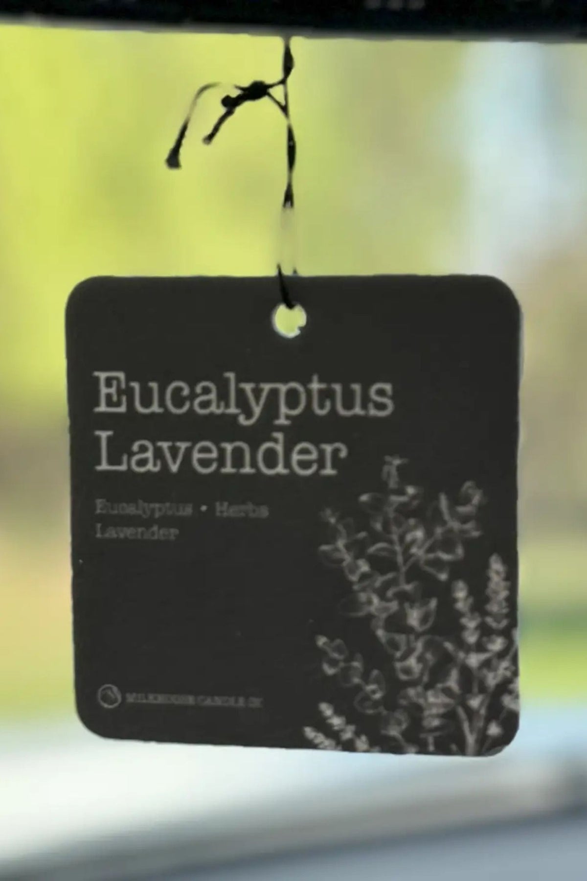 Car Freshener: Eucalyptus Lavender