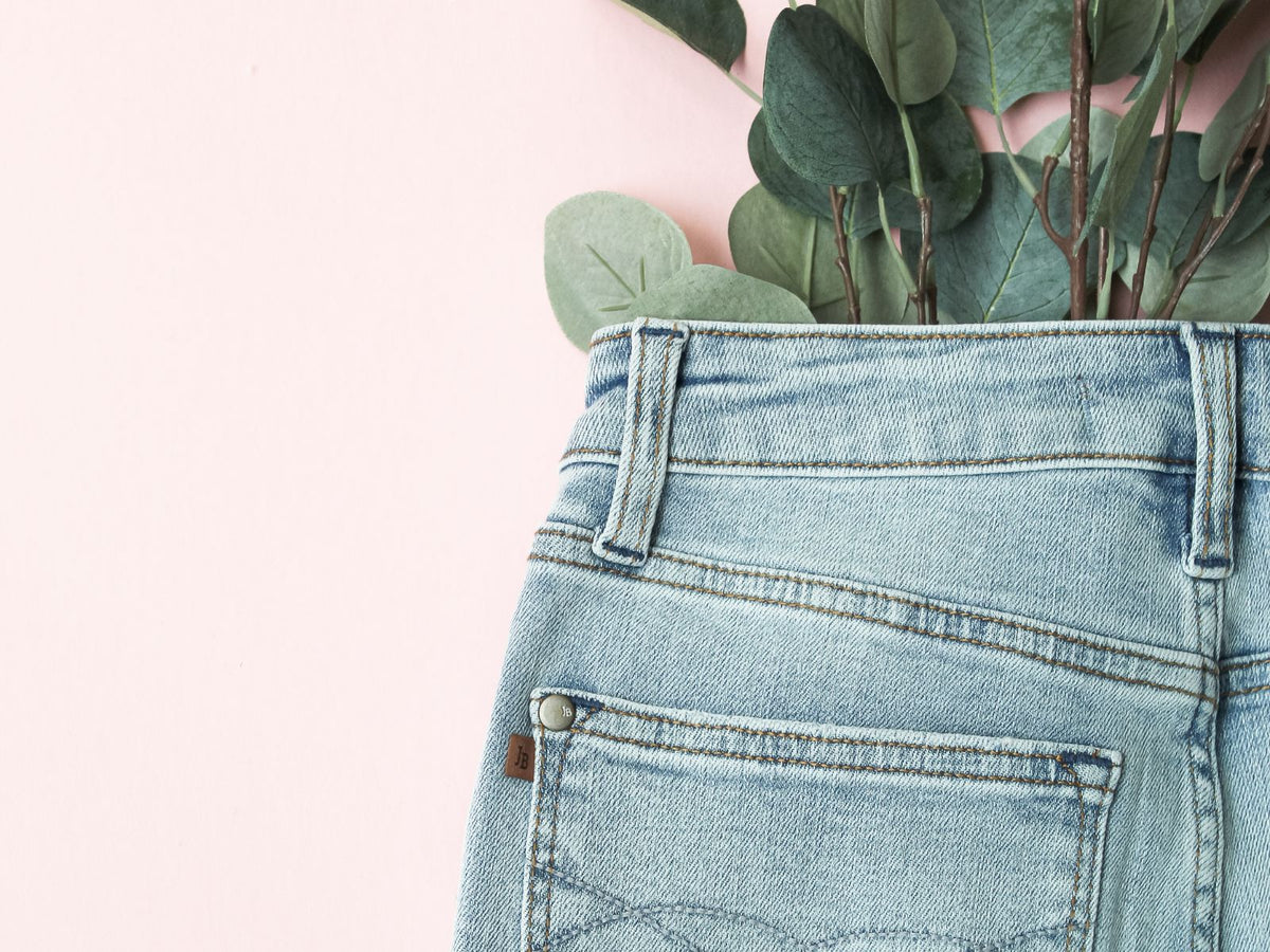 Blue jeans with a plant in the pocket against a light pink background
