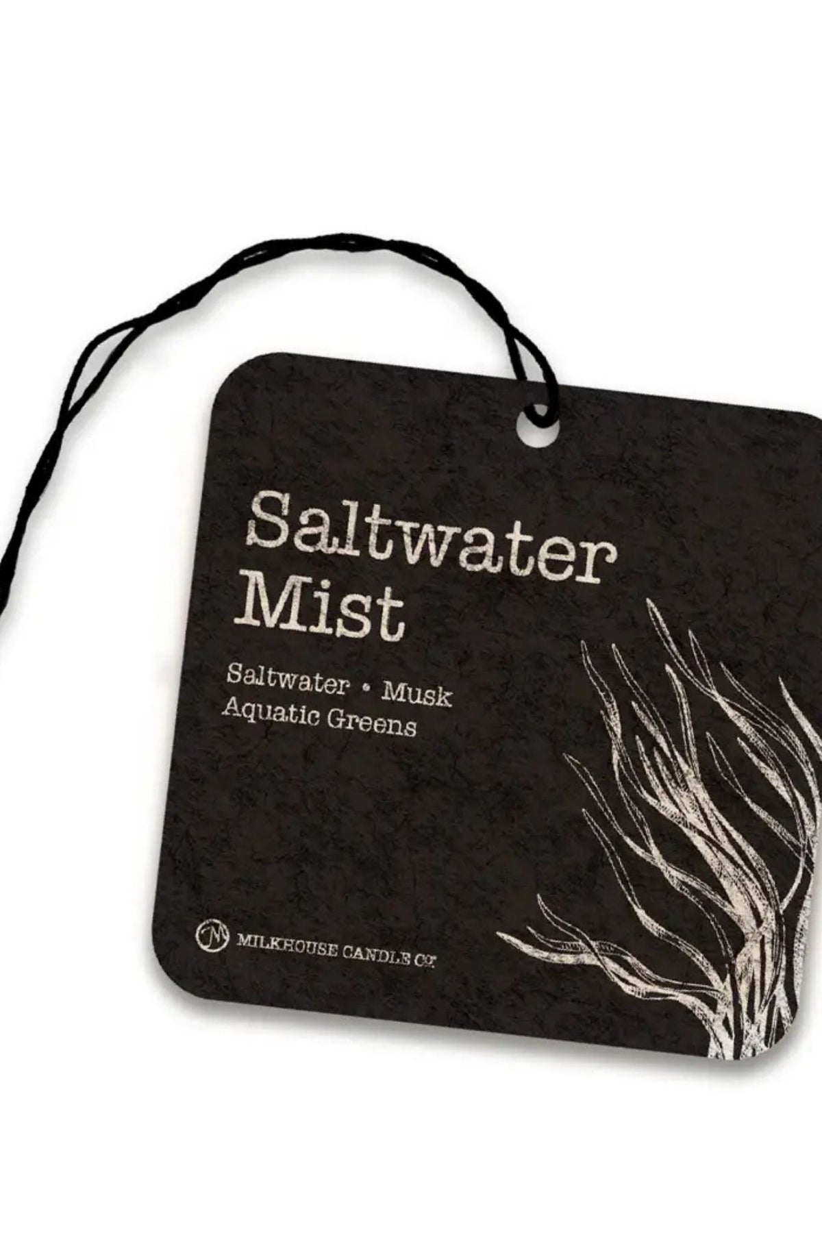 Car Freshener: Saltwater Mist