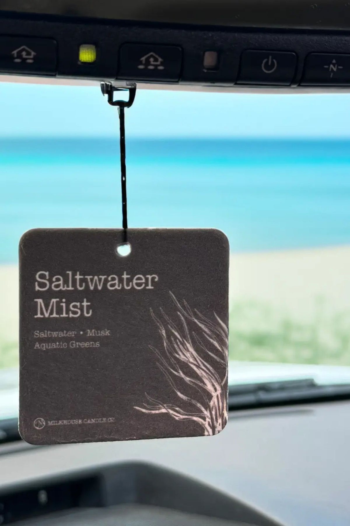 Car Freshener: Saltwater Mist