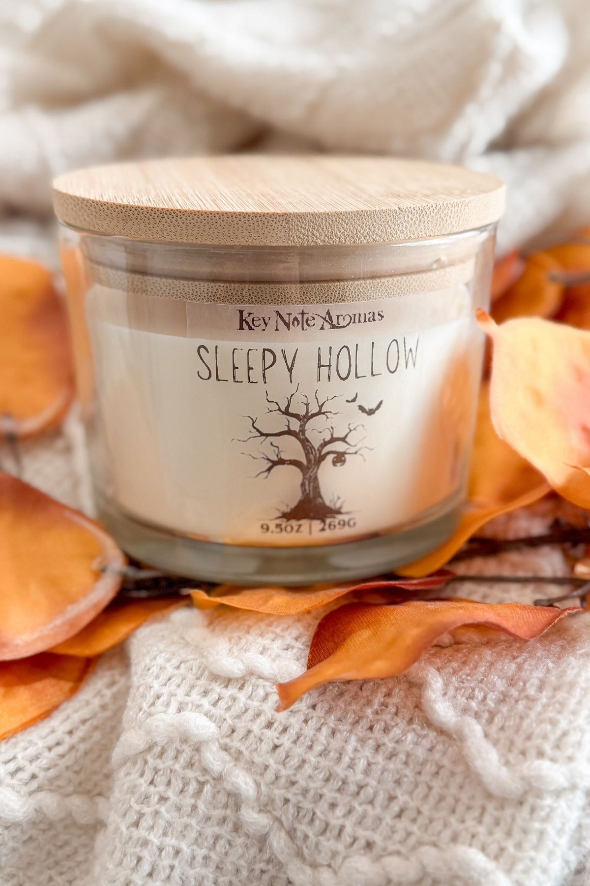 The Cozy Edit | Double Wick Candles