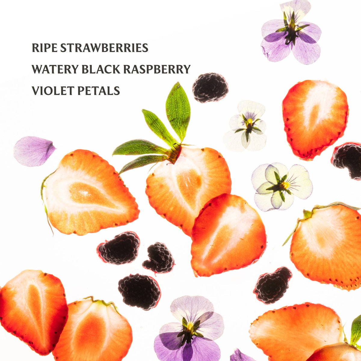 Illustration of ripe strawberries, black raspberries, and violet petals on a white background.