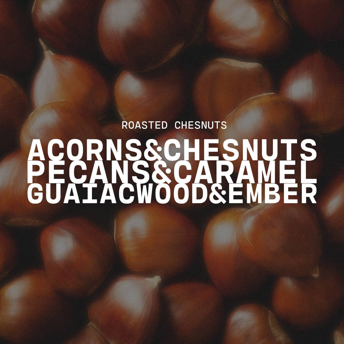 5 oz Cream Jar Candle: Roasted Chestnuts